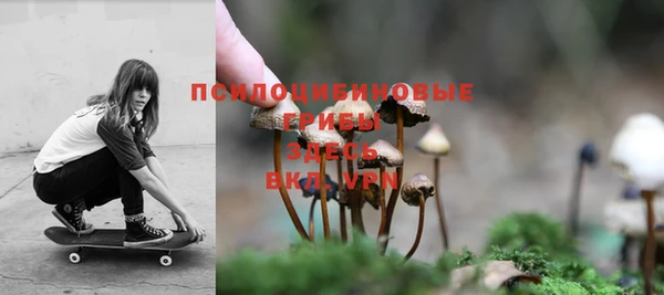 прущие крисы Володарск