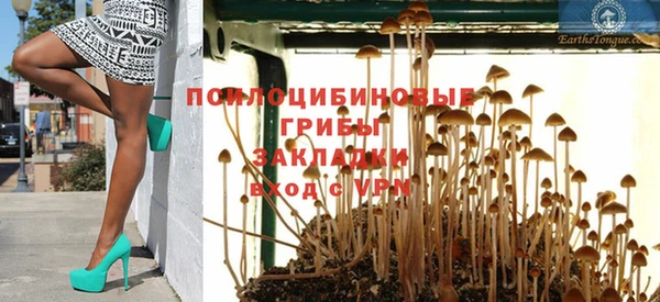 прущие крисы Володарск