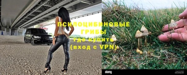 прущие крисы Володарск